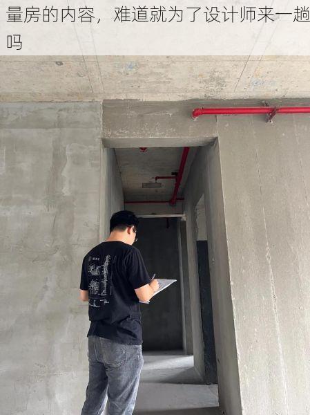 量房的内容，难道就为了设计师来一趟吗