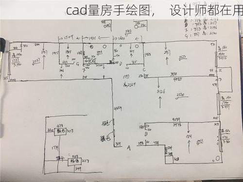 cad量房手绘图，  设计师都在用