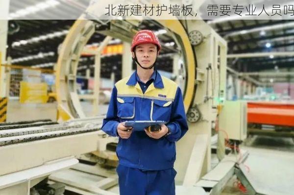 北新建材护墙板，需要专业人员吗
