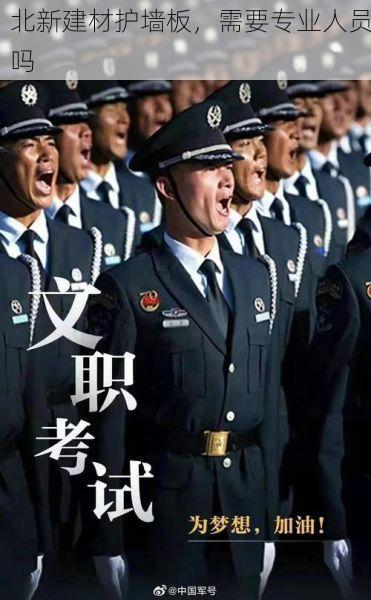 北新建材护墙板，需要专业人员吗