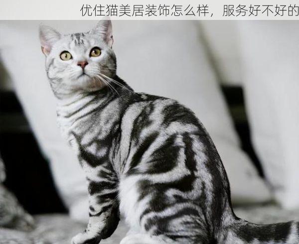 优住猫美居装饰怎么样，服务好不好的
