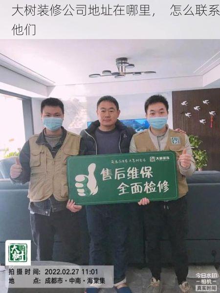 大树装修公司地址在哪里，  怎么联系他们