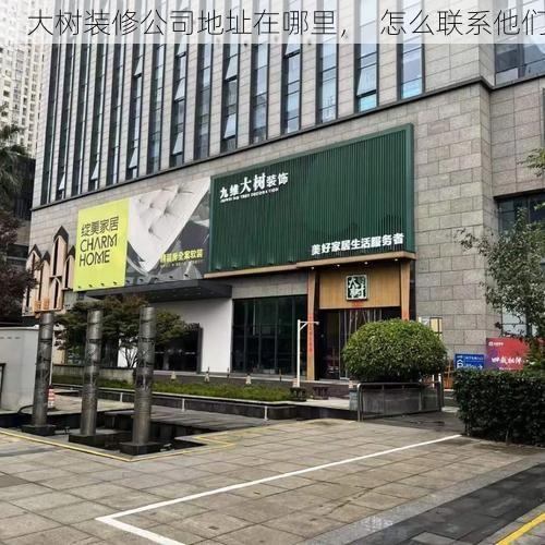 大树装修公司地址在哪里，  怎么联系他们