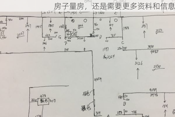房子量房，还是需要更多资料和信息