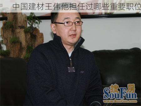 中国建材王伟他担任过哪些重要职位