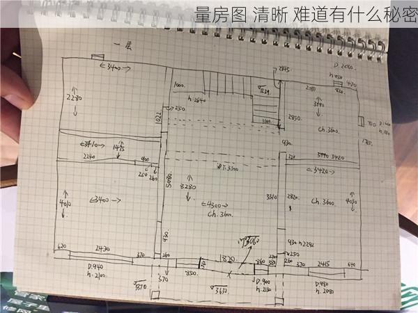量房图 清晰 难道有什么秘密