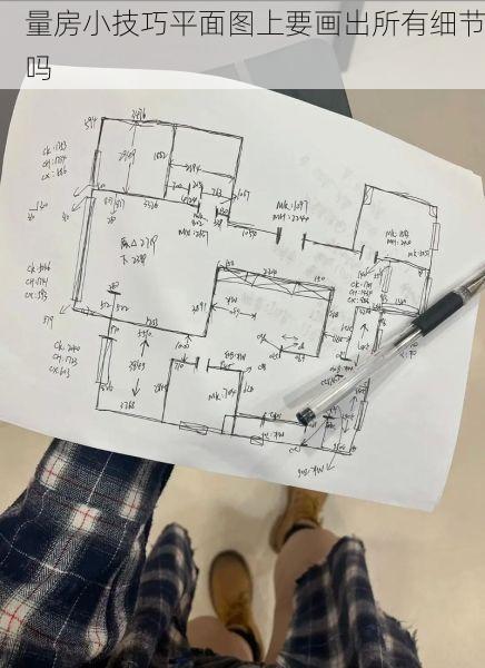 量房小技巧平面图上要画出所有细节吗